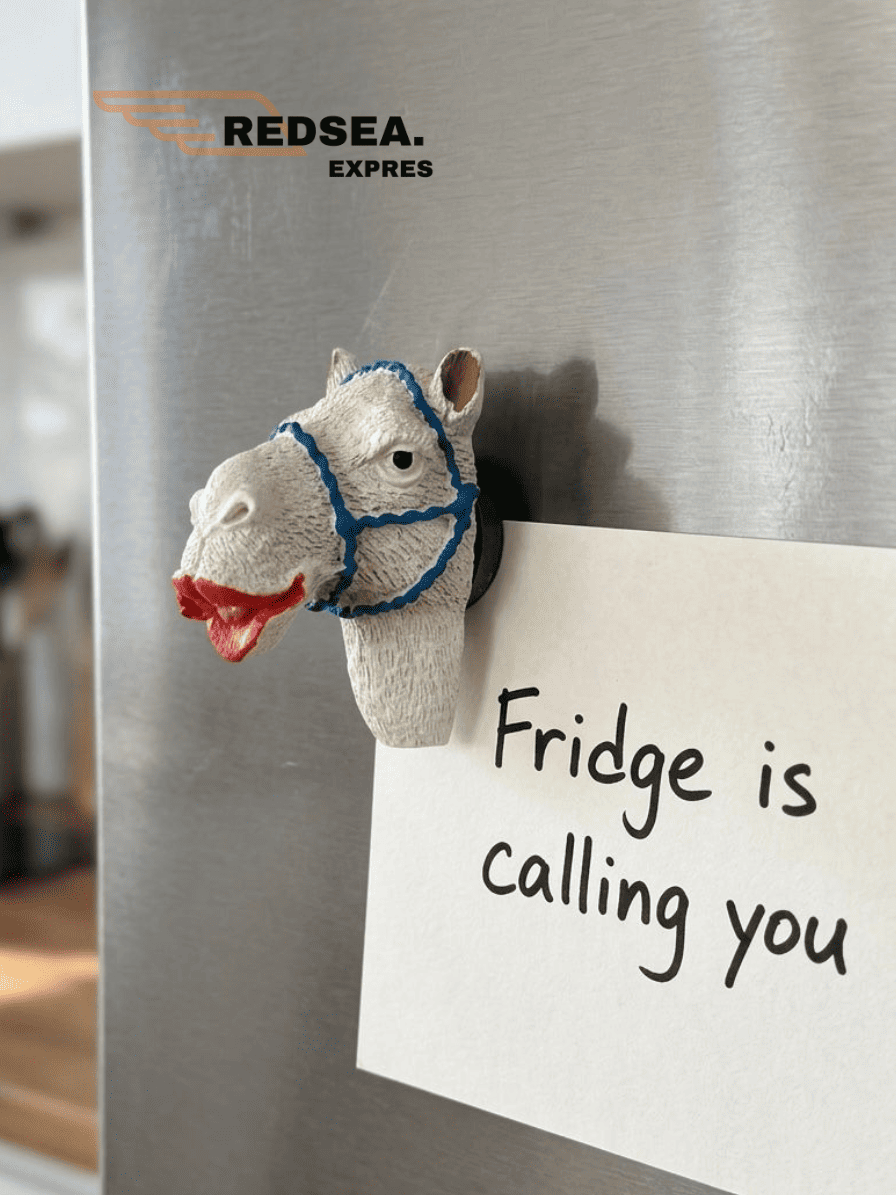 Inspirational & Fun Magnets